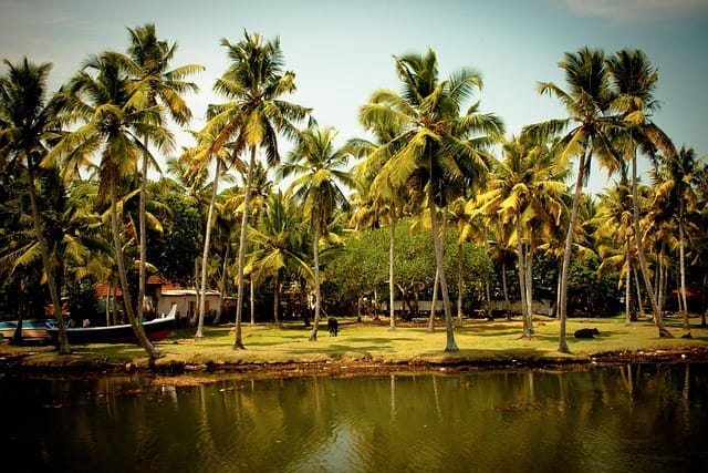 Thekkady Periyar Wildlife & Spice Tour