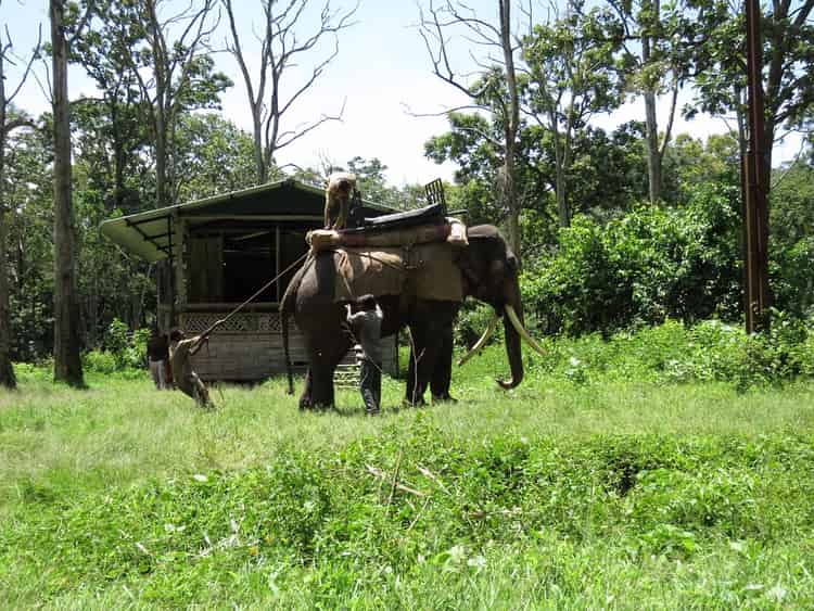 Topslip & Parambikulam 2-3 Days Wildlife Tour